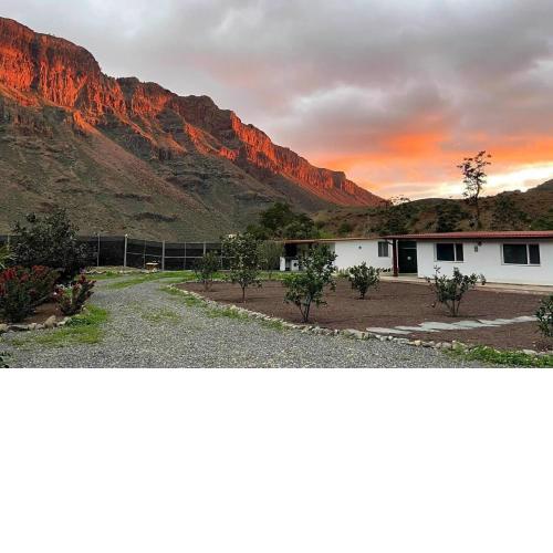 Country House Near Fataga - Finca Laxmi 2