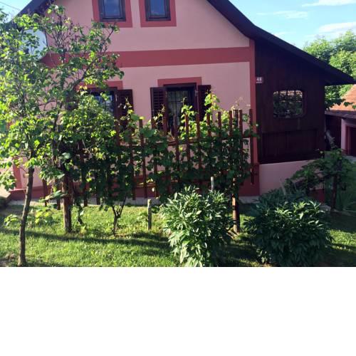 Country house 'Pri lipi'