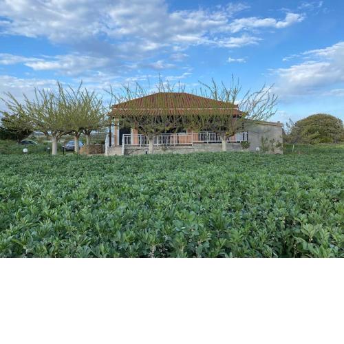 Country-side residence