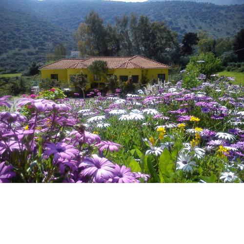 Countryside Studios