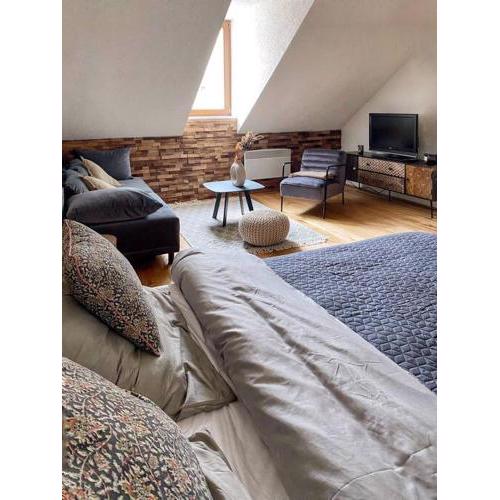 Cozy and warm apartment in the heart of Karlsbad