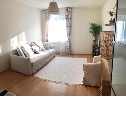 Cozy Apartment in District 8