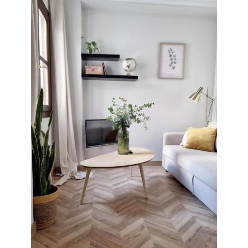 Cozy apartment in the city center