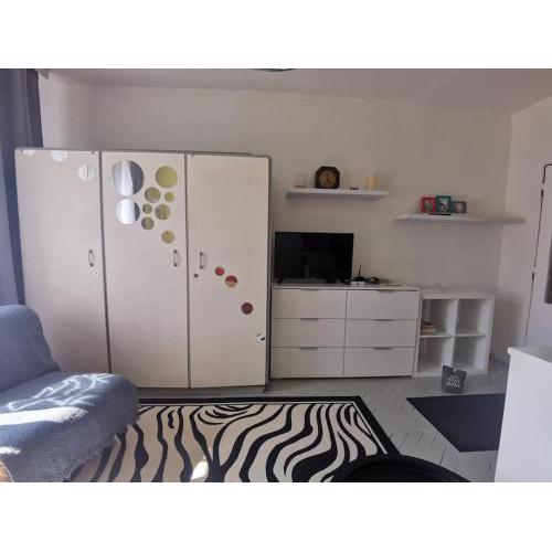 Cozy apartment near city center