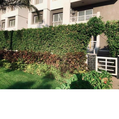 Cozy apartment with garden Madinaty