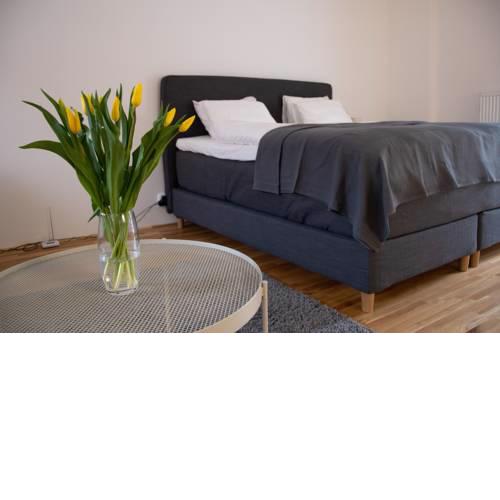Cozy Apartment Zelný Trh