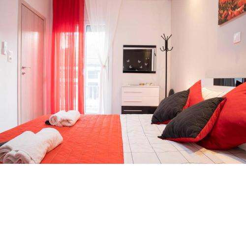 Cozy Apartment