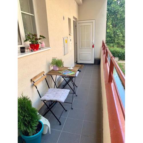Cozy, clean apt with terasse a walk to town