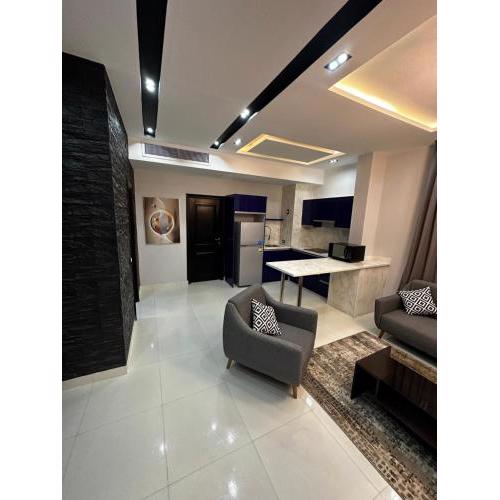 Cozy Elite One Bedroom Apartment