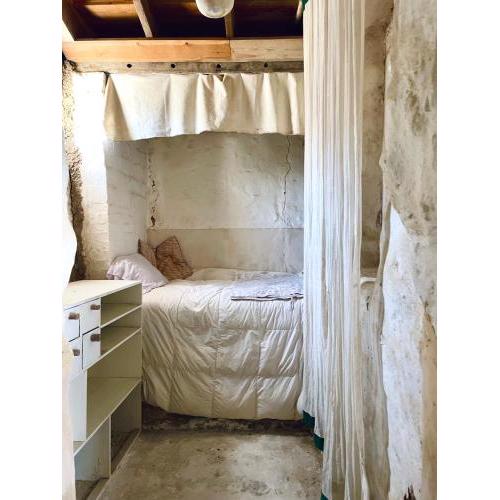 Cozy guest house