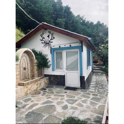 Cozy Home in Ardino