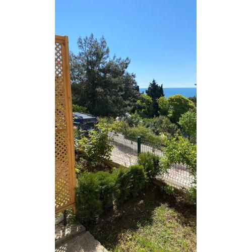 Cozy House in Sinop Center