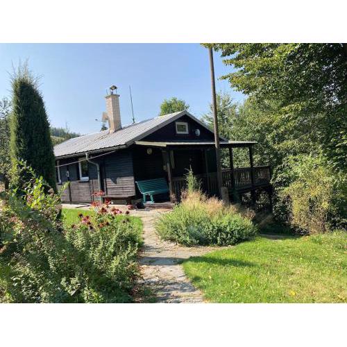 Cozy mountain cottage with terrace in Dolni Lomna
