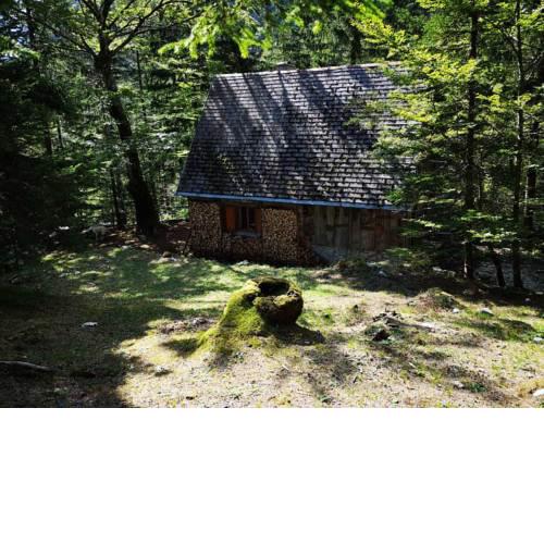 Cozy Private Cabin in the heart of Triglav National Park