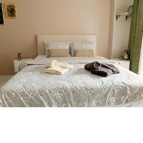 Cozy studio, 1min from Kamara
