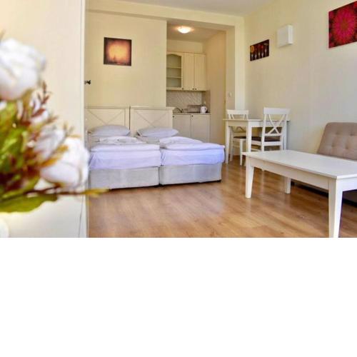 Cozy Studio Flores