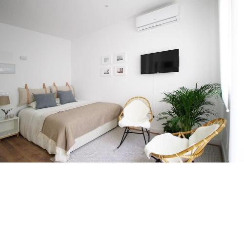 Cozy studio in Madrid Rio with backyard-EM-ISA-A2