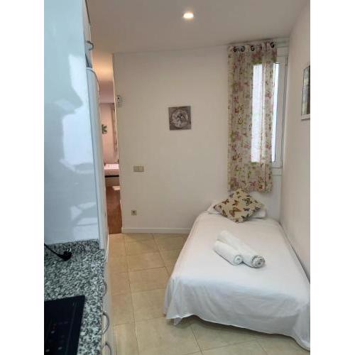 Cozy Studio with Amazing Terrace near Plaza España