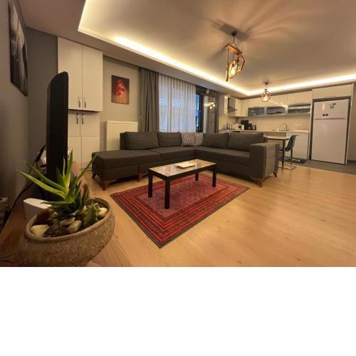 cozy unique flat close to the memoriall hospital at the city center hGyHomes1107