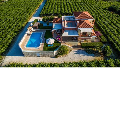 Cretan Vineyard Hill Villa