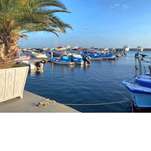 Crosswaybg Vlas