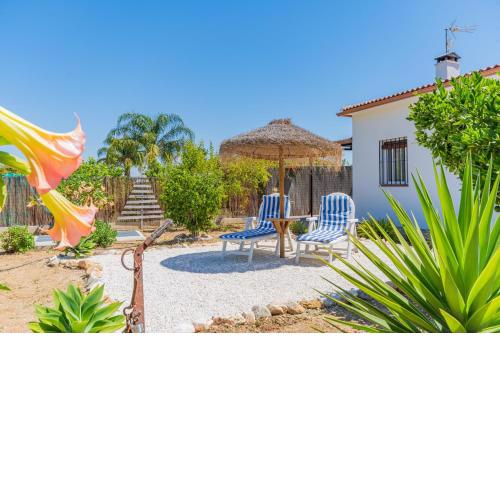 Cubo's Finca Pati
