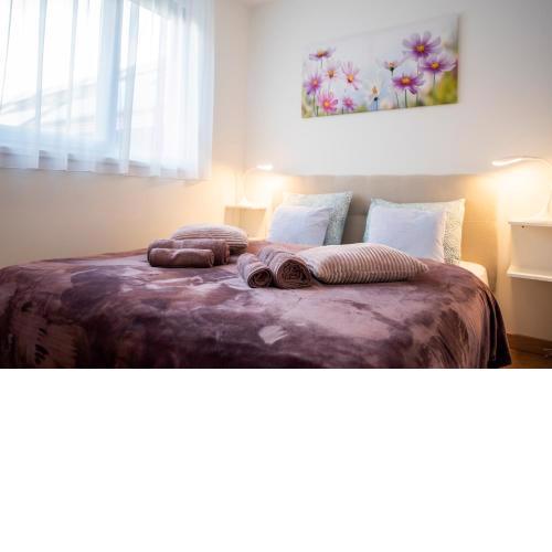 Cute apartman