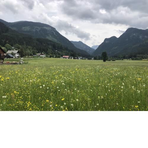 Dachstein 7
