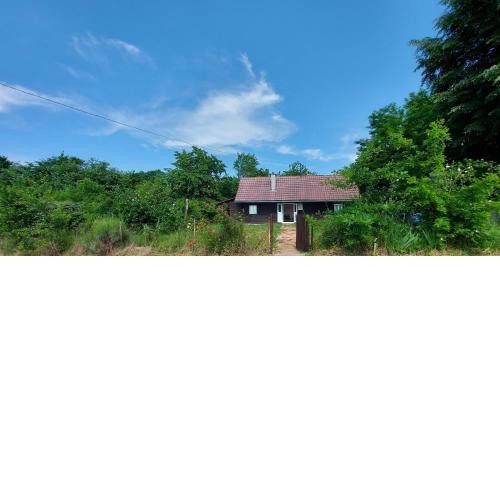 Dada House Nature Holiday