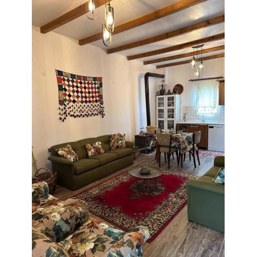 Dağ Evi/yeşilli içinde kır evi