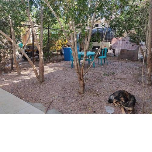 Dahab Cozy Garden chalet