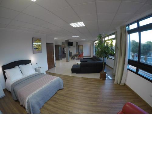 Daida Loft