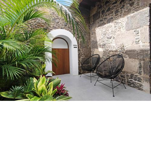 Dalia - Finca La Suerte Grande