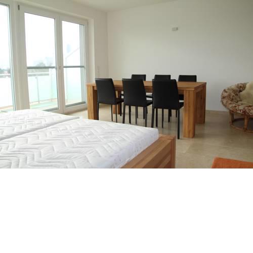 Danube Apartment with City View