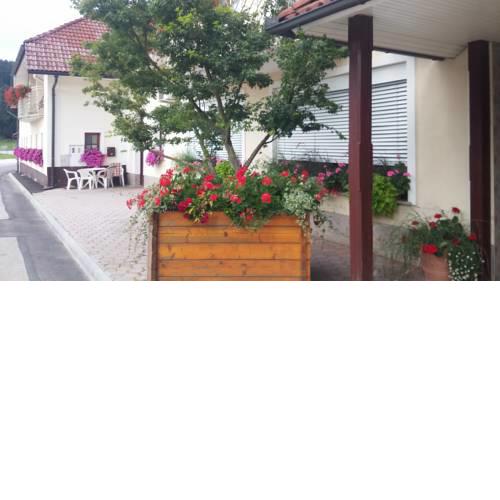Darja Guesthouse
