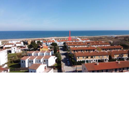 Daro 3D 46