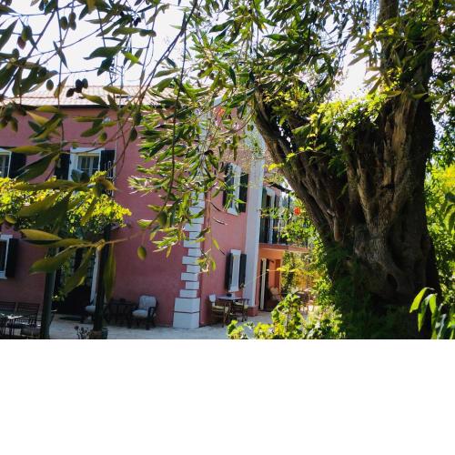 Dassia House