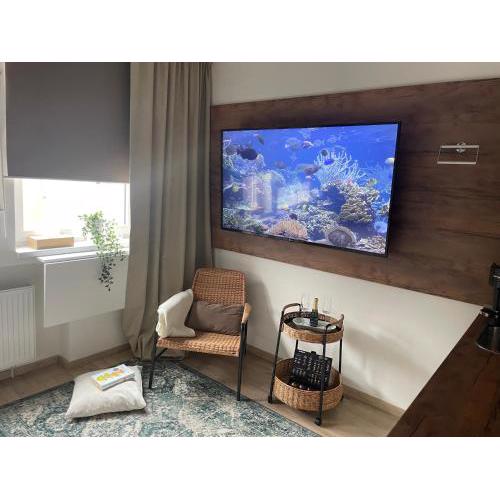 DE LUXE Apartment, WIFI, TV 65"