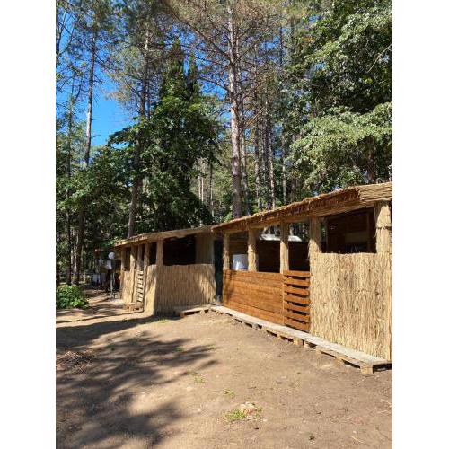 Delightful 3 Bed Beach Caravan