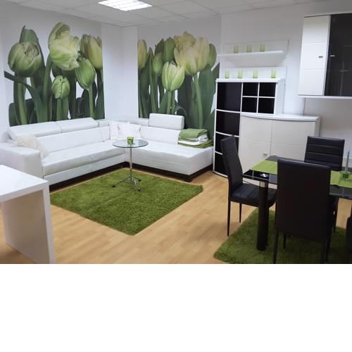DELUX duplex apartment