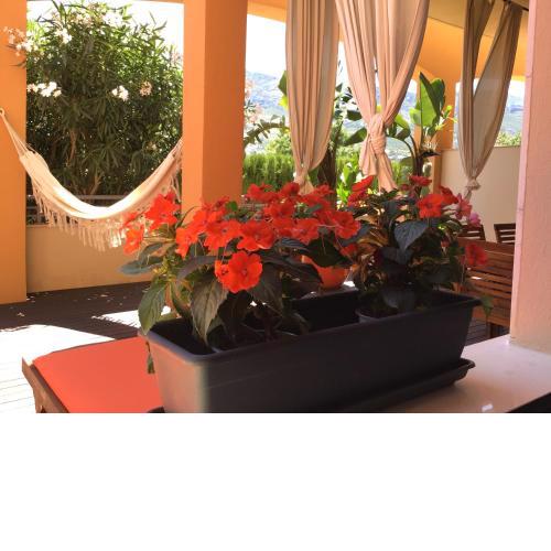 Denia Deluxe Chillout Experience