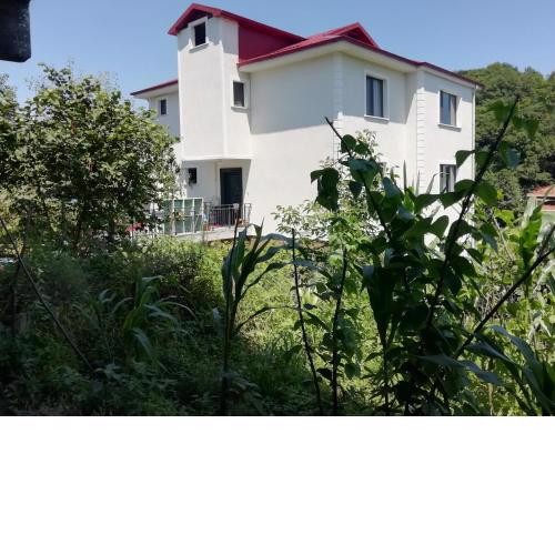 Deniz ve doğa manzaralı villa katı