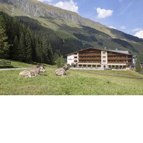 Der Rindererhof