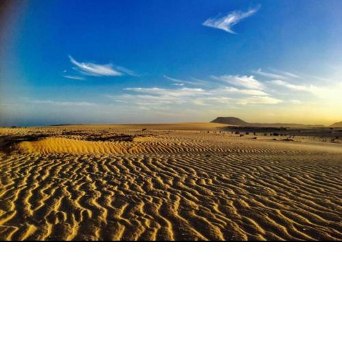 Desert of love
