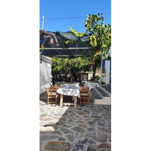 Diamoni Afroditi dogfriendly holidayhome with garden 2 to 5 persons