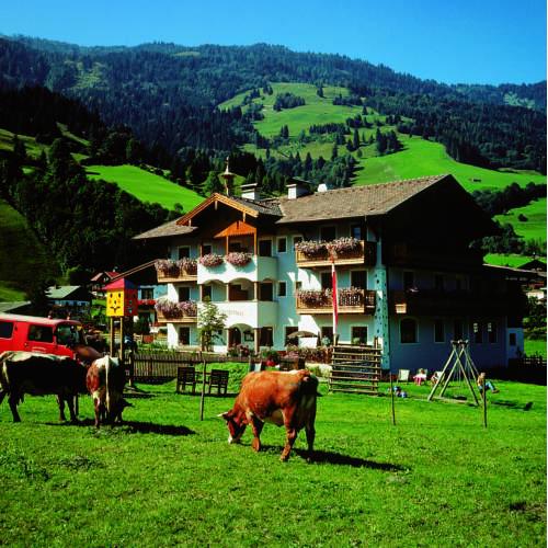die UnterbergerIn