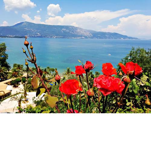 Dimitra Apartments K