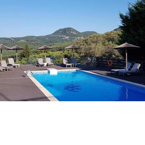 Diogenis Parga Studios