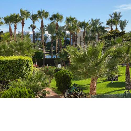 Discover perfect beach Apartment, only 300m away
