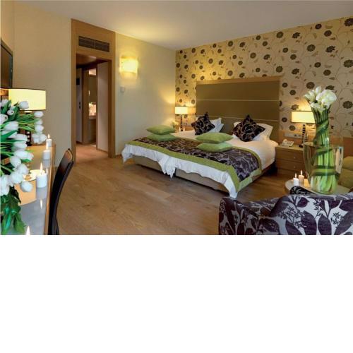 Divani Meteora Hotel